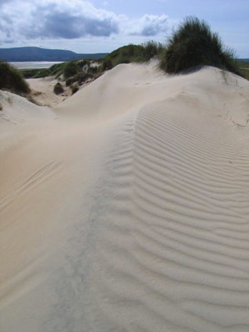 InspirationStrand